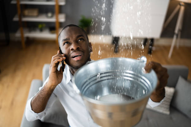 Best Ceiling water damage repair  in Roseville, OH