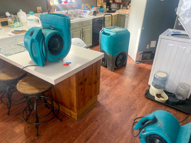 Best Basement water damage restoration  in Roseville, OH