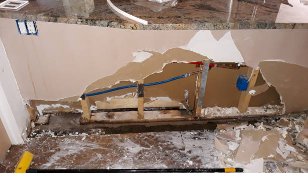 Best Carpet water damage restoration  in Roseville, OH