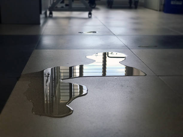 Best 24/7 water damage repair  in Roseville, OH
