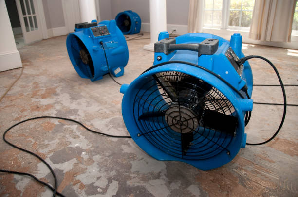 Best Carpet water damage restoration  in Roseville, OH