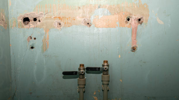 Best Sewage cleanup and water damage restoration  in Roseville, OH