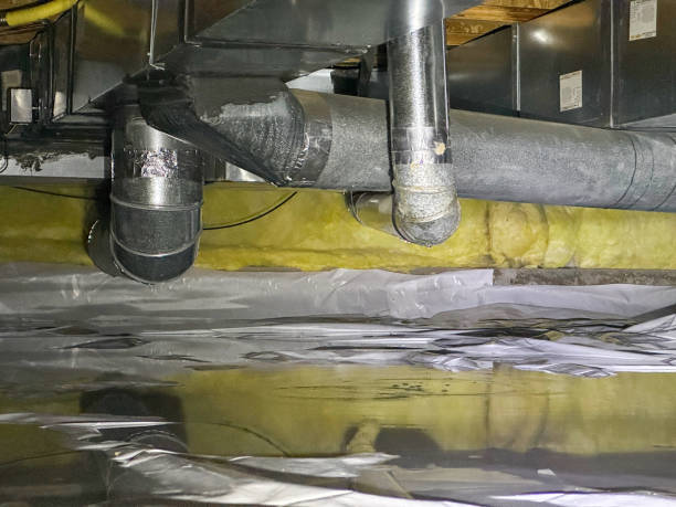 Best 24-hour water damage restoration  in Roseville, OH