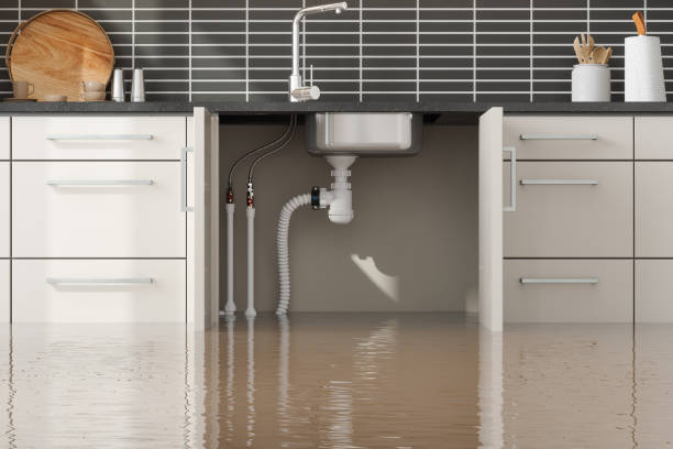  Roseville, OH Water damage restoration Pros