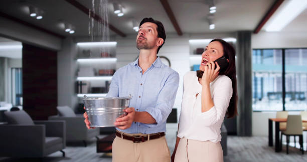 Best Water damage repair service  in Roseville, OH