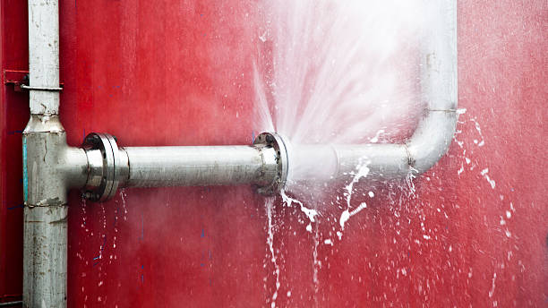 Best Local water damage restoration  in Roseville, OH