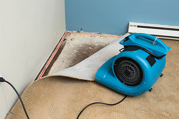 Water damage restoration mold remediation in Roseville, OH